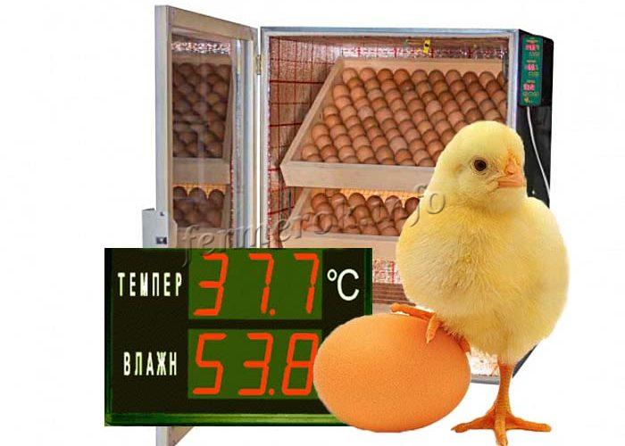 Температура и влажность в инкубаторе