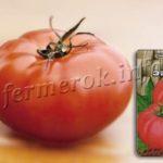 Картофель Беллароза характеристика и описание сорта особенности посадки выращивания и ухода вкусовые качества