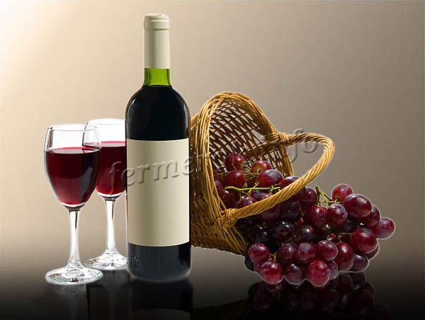 Виноград Лучший винный сорт Посадка и уход