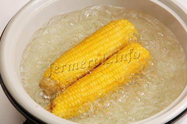 Людям тоже можно кушать фуражную кукурузу, только варить ее нужно 1-3 часа, чтобы зерна и шкурка размягчились