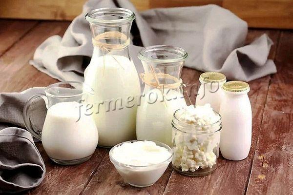 Пастеризация молока: процедура выполнения, особенности процесса.