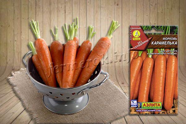 Сорт моркови Карамелька