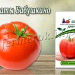 Сорт томатов Бабушкино