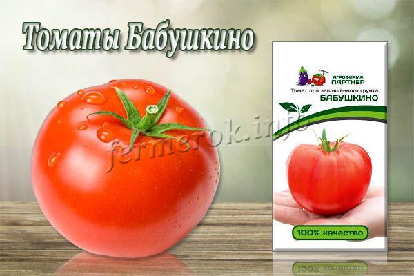 Сорт томатов Бабушкино