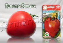 Сорт томатов Батяня