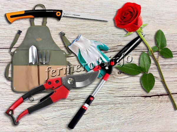 Фото садовых инструментов для обрезки роз