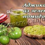 Adzhika iz zelenyh pomidor