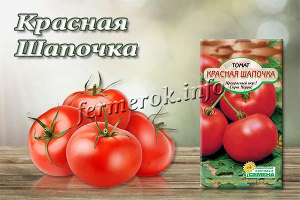 Сорт томатов Красная Шапочка