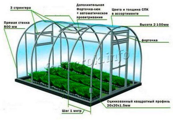 Схема устройства теплицы для выращивания зелени
