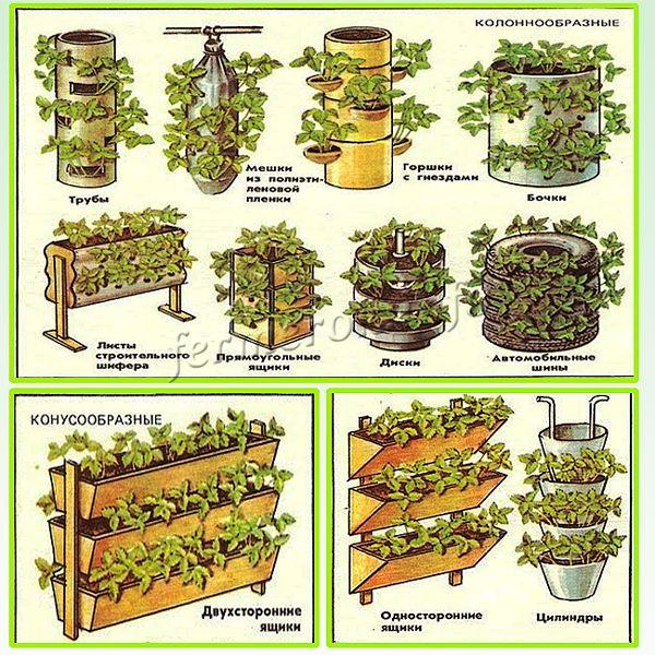 Виды емкостей для вертикального выращивания клубники